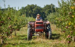 Easiest compact tractor for women