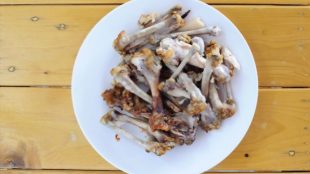 Can Pigs Eat Chicken Bones? (Raw/Boiled)