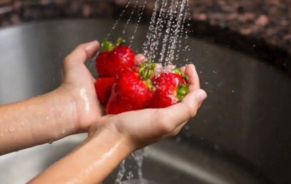 washing strawberries under faucet