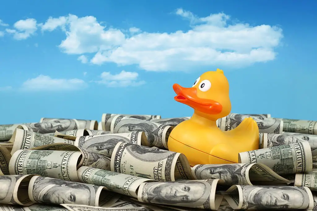 duck swimming in dollars