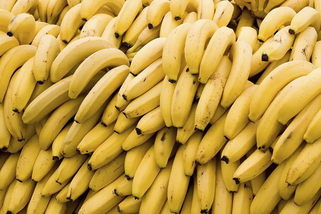 fresh yellow bananas