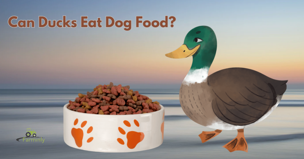 duck eat dog food